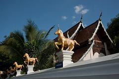 Thailand_Chiang_Mai_OctNovDec_2010_3250