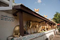 Thailand_Chiang_Mai_OctNovDec_2010_3253