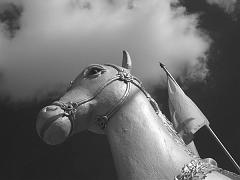 Thailand_OctNovDec_2010_Infrared_2133