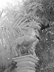 Thailand_OctNovDec_2010_Infrared_2140