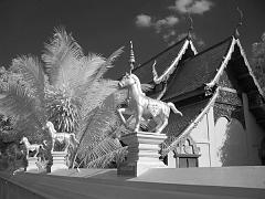 Thailand_OctNovDec_2010_Infrared_2142