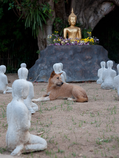 Thailand_Chiang_Mai_OctNovDec_2010_3820.jpg