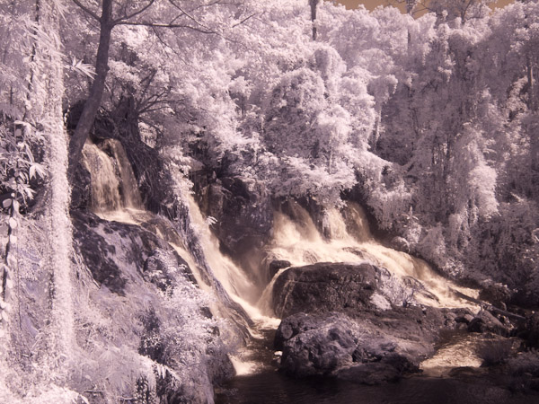 Thailand_OctNovDec_2010_Mae_Hong_Son_Infrared_2366.jpg