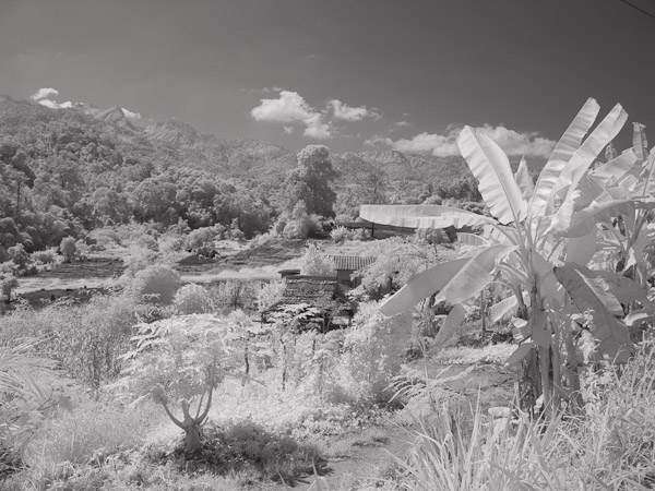 Thailand_OctNovDec_2010_Infrared_2244.jpg
