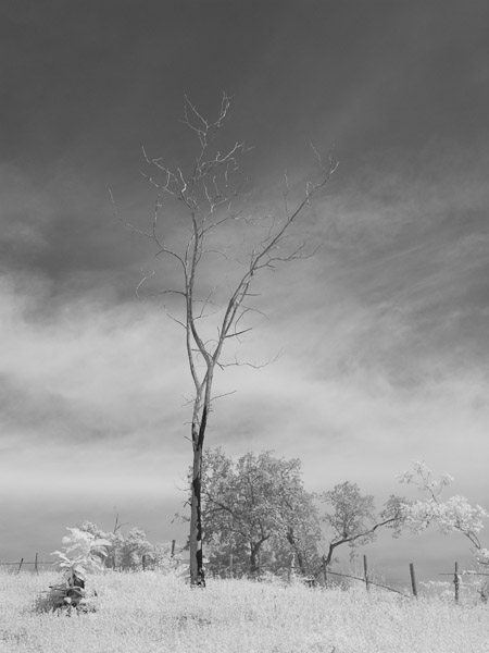 Thailand_OctNovDec_2010_Infrared_2302.jpg