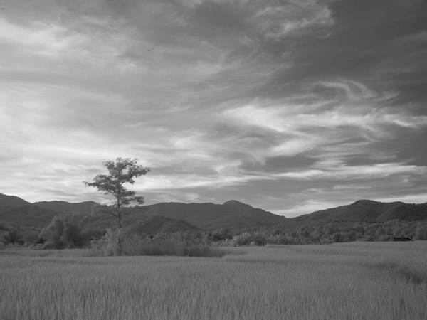 Thailand_OctNovDec_2010_Infrared_2340.jpg