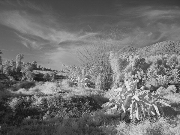 Thailand_OctNovDec_2010_Pai_Infrared_2351.jpg