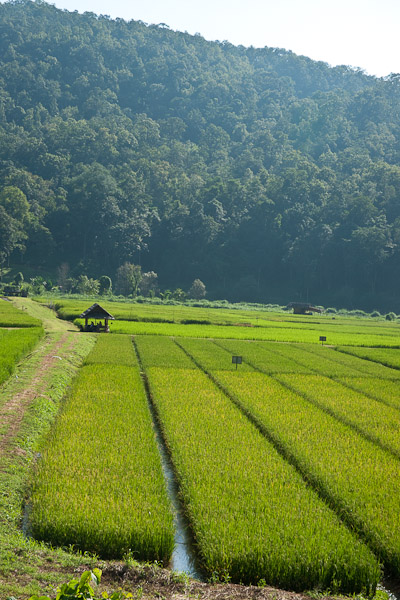 Thailand_Pai_OctNovDec_2010_4665.jpg