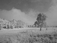 Thailand_OctNovDec_2010_Pai_Infrared_2362