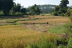 Thailand_Pai_OctNovDec_2010_4549