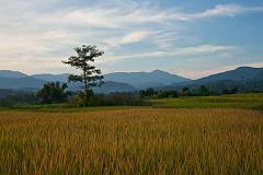 Thailand_Pai_OctNovDec_2010_4873