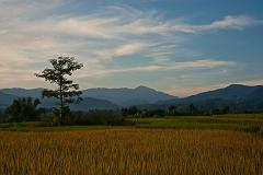 Thailand_Pai_OctNovDec_2010_4880