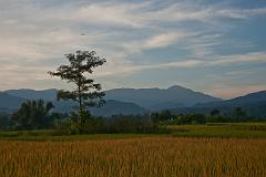 Thailand_Pai_OctNovDec_2010_4884