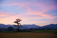 Thailand_Pai_OctNovDec_2010_4954