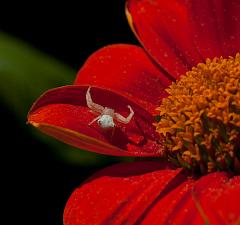 Thailand_Pai_OctNovDec_2010_4637