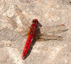 Thailand_Pai_OctNovDec_2010_5239